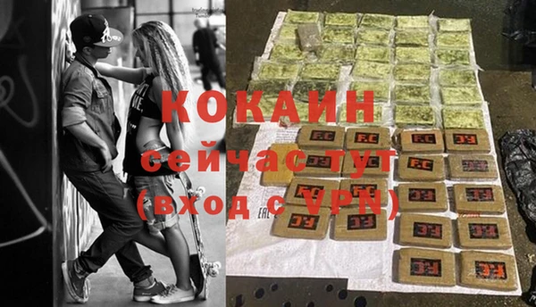 индика Володарск