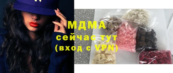индика Володарск