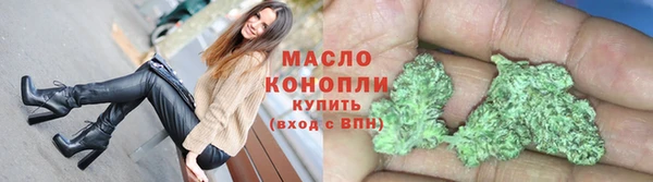 индика Володарск