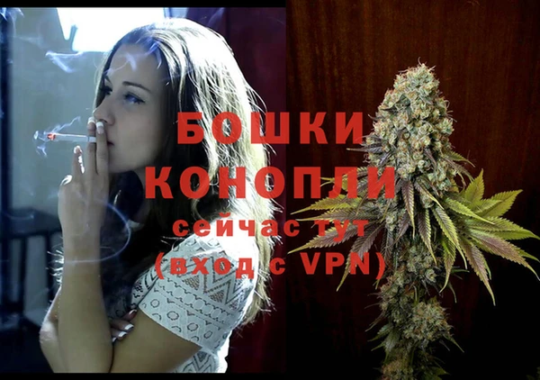 индика Володарск