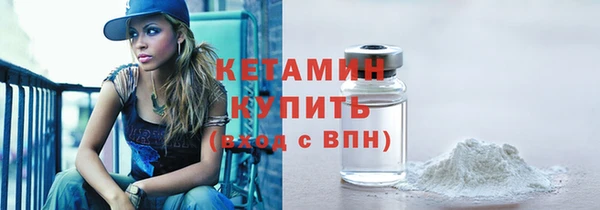 индика Володарск