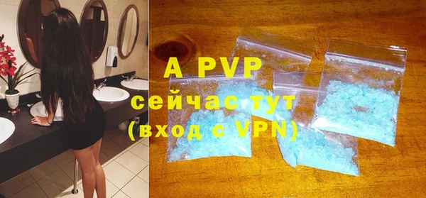 индика Володарск