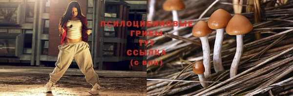 прущая мука Верея
