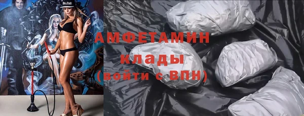 индика Володарск