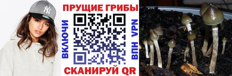 Псилоцибиновые грибы мухоморы  Верхнеуральск 